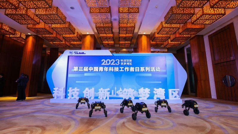 企业数据安全解决方案：定制开发的关键考量